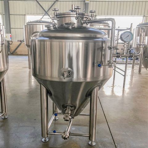 100L 200L 300L 500L Stainless Steel fermenteur de cuve de fermentation de  brassage de bière pour la vente - Chine La brasserie de fermentation, 500L  fermenteur