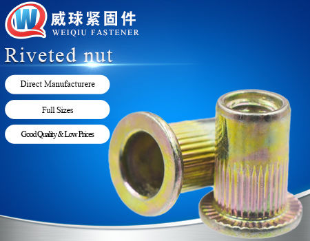 Zinc Alloy High Hardness Corrosion Resistance for Machining Center Decoration Flat Rivet Nut Fasteners 