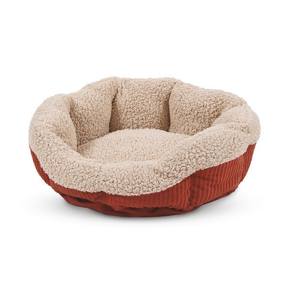 bed bath & beyond dog beds