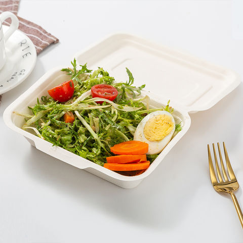 Biodegradable Bamboo Sugarcane Bagasse Container Bento Lunch Box Disposable