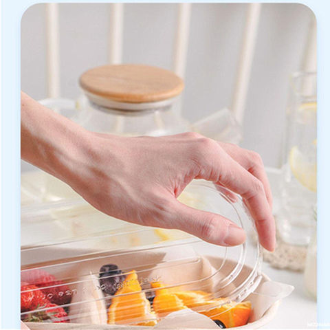 https://p.globalsources.com/IMAGES/PDT/B5217739456/Disposable-food-container-disposable-packaging.jpg