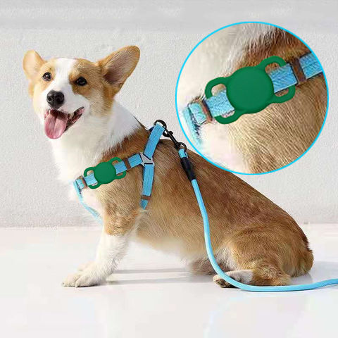 Case-Mate Airtag Dog Collar Holder - Water Resistant India