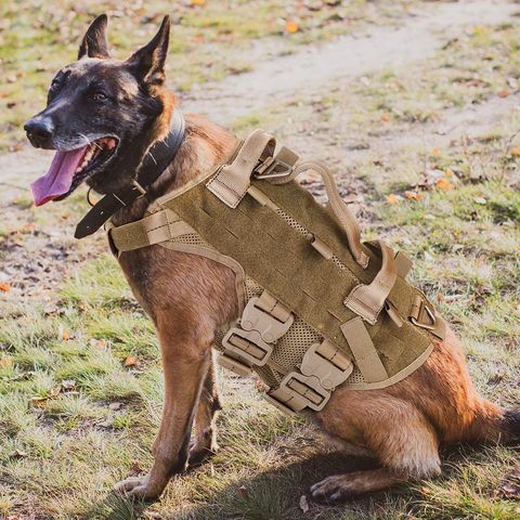 Dog Training Vest – Gun Belt Collars