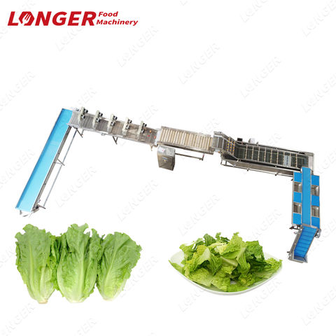 Automated Leafy Vegetable Fruit Lettuce Cabbage Bubble Washing Ozone Washer  Cleaning Machine - China Ozone Vegetable Washer, Ozone Fruit and Vegetable  Washing Machine