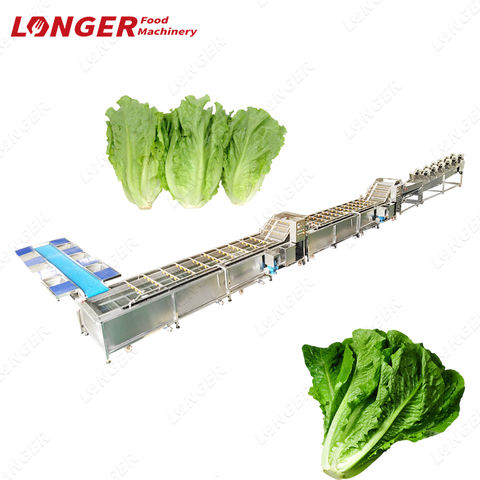 https://p.globalsources.com/IMAGES/PDT/B5220592785/lettuce-washing-machine.jpg