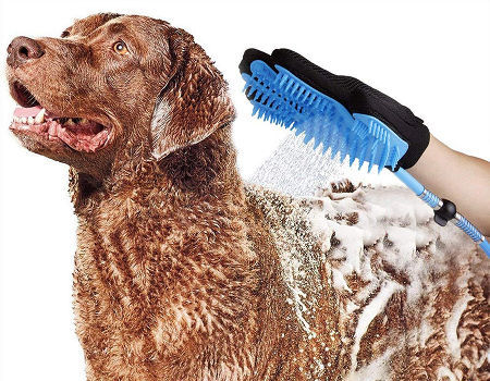 Dog Bath Brush Sprayer and Scrubber @