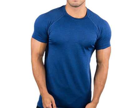 til bundet tale Doktor i filosofi Buy Wholesale China Men's Gym Fitness Dry Fit Tee Blank Custom Printed  Workout T-shirts Wholesale & T-shirt at USD 3.98 | Global Sources