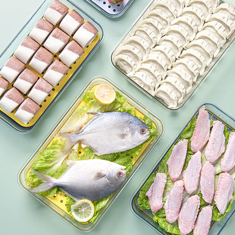 1pc Kitchen Fridge Storage Box For Fish Meat, With Lid, Plastic