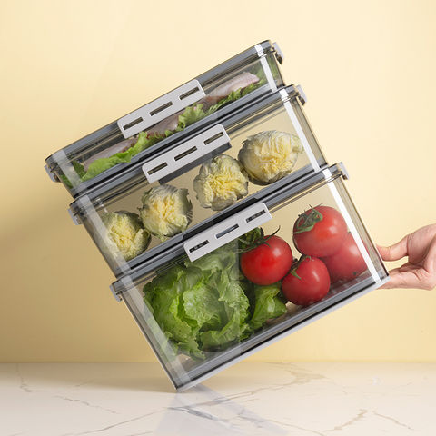 Plastic Refrigerator Storage Box, Mini Food Storage Containers