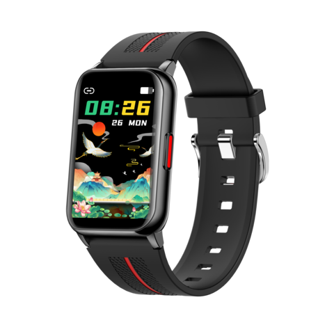 Smartwatch caros online