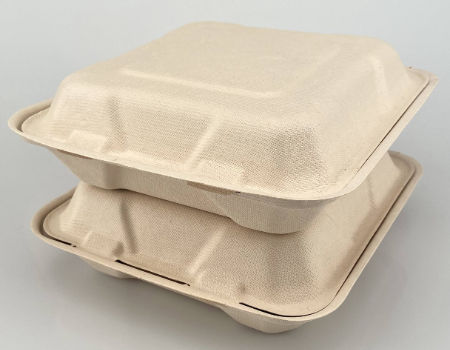 Watsonpak Restaurant Catering Supplier Plant-Based OEM Take Away Wholesale  Takeaway Sugarcane Food Containers with Flat Lids - China Lunch Box,  Packing Box