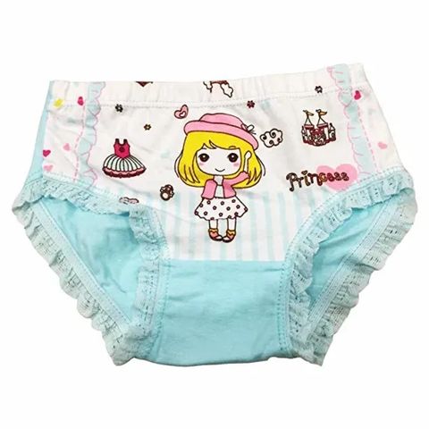 Kids Series Comfy Cotton Baby Underwear Little Girls Assorted Briefs  Princess Panties (pack Of 4) - China Wholesale Panty $6 from Shanghai  Jspeed Group Limited
