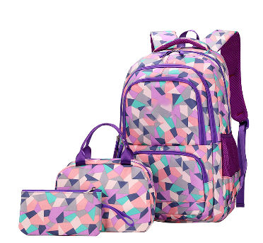 https://p.globalsources.com/IMAGES/PDT/B5229037405/school-backpack-with-lunch-bag.jpg