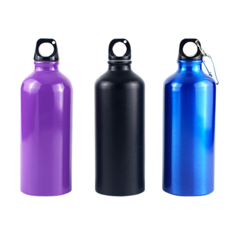 500ml Aluminum Sport Water Bottle With Carabiner, Great For