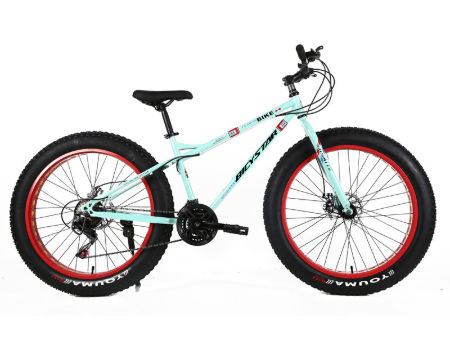 men's 29 inch fat tire bike