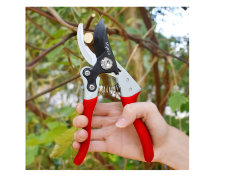 Large Garden Scissors – DIG + CO.