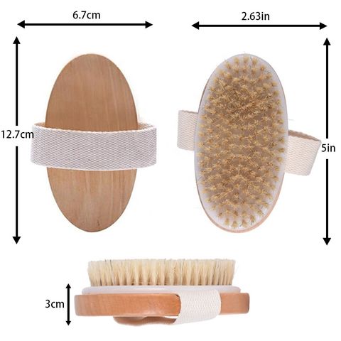 Dry Brushing Body Shower Brush - Detachable Long Handled Scrub Brush for  Lymphatic Drainage Showering Back Bath Brush Set for Dry Brushing Natural  Body Brush with Exfoliating Glove for Women & Man