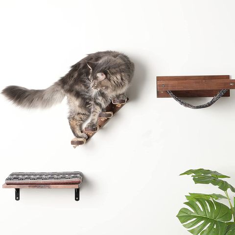 Cat shelves 2024 for sale