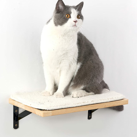 La La Pet® Puente de escalera para gatos montado en la pared con 2 soportes  fijos de madera para gatos Perca Mod Cat Lounge Hamaca para gatos