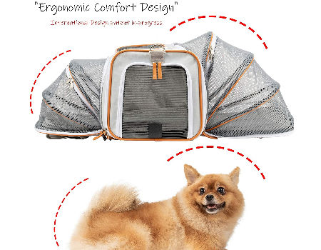 Buy Wholesale China Popular Expandable Cat Carrier Dog Carriers