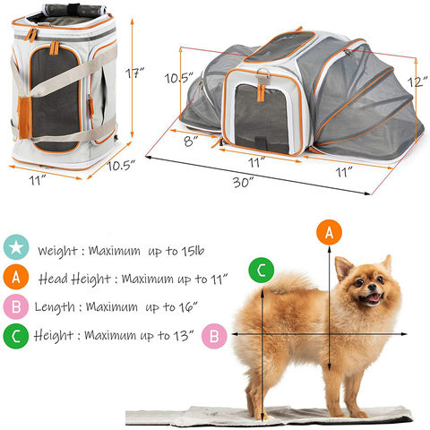 Cat Bag Carrier, Small Dog Backpack, Airline Approved Pet Backpack Carrier,  Clear Backpack for Cats Puppy Kitten Bunny Bird, Outdoor Hiking Pet Bag -  China Pet Bag, Dog