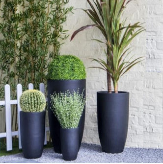 tall patio plants
