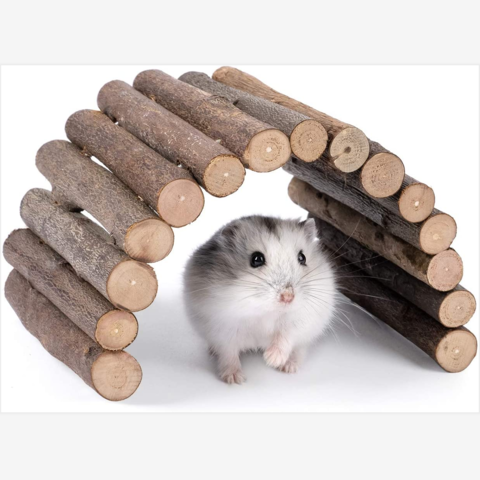 Hamster toys for on sale sale