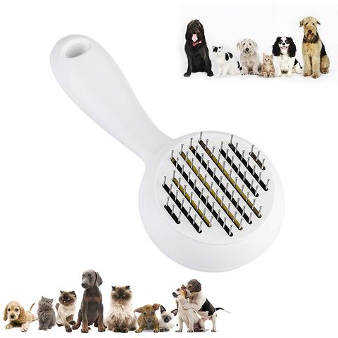 https://p.globalsources.com/IMAGES/PDT/B5244098941/pet-brush.jpg