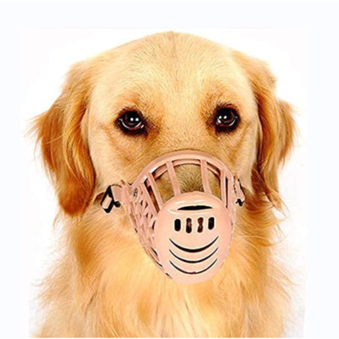 Asda dog muzzle best sale