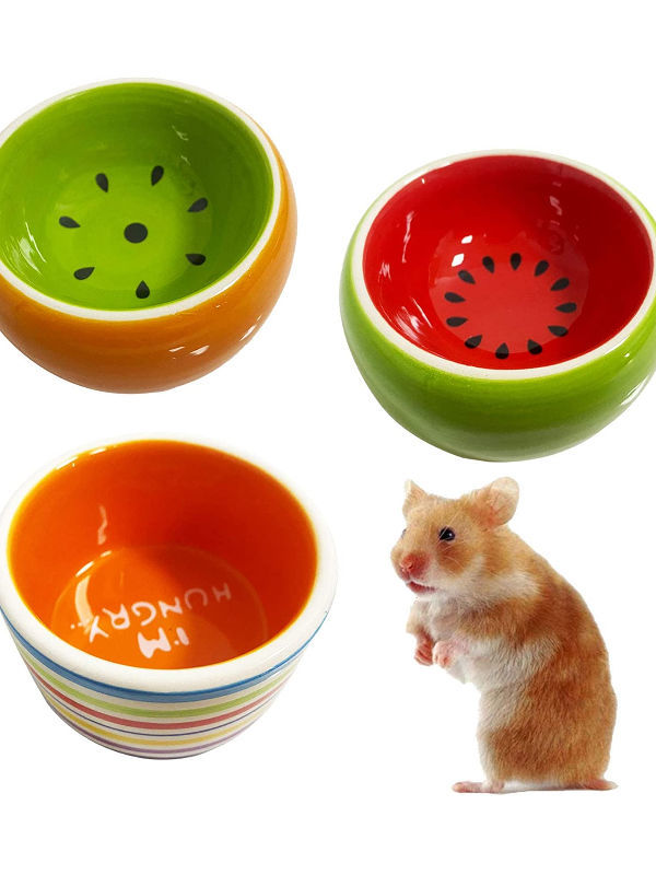 hamster water dish