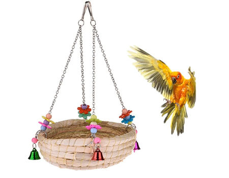 large macaw swings