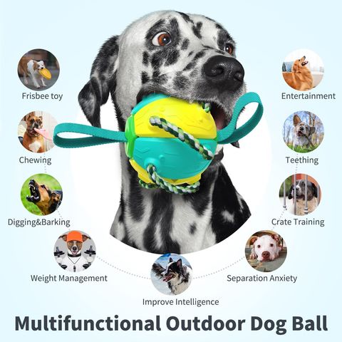 Rubber Sport Dog Toy Dog Training String Bouncy Ball Chew Toy Durable Pet  Chewing Toys Dogs Clean Training Playing Rubber OEM - China Dog Training  Ball and Pet Products price