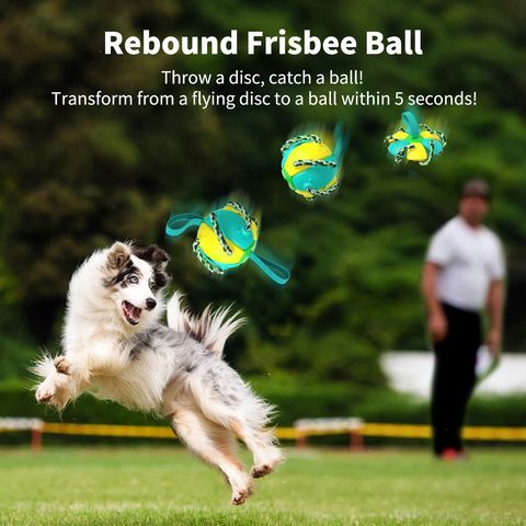 Buy Wholesale China Dog Toys Interactive Ball With Grab Tabs For