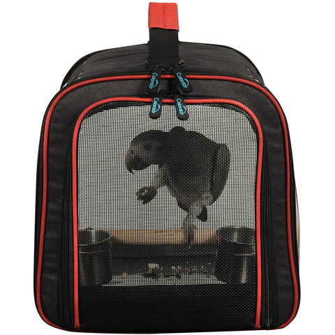 Birdsong Dog & Cat Carrier Large - Designer Tote Travel Pet