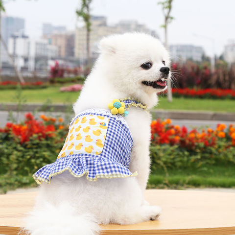 Luxury Designer Dog Clothes Pet Winter Sweater Leopard Print Style Dog  Fashion Pet Clothes - China Pet Clothes and Dog Hoodie Pet Clothes price