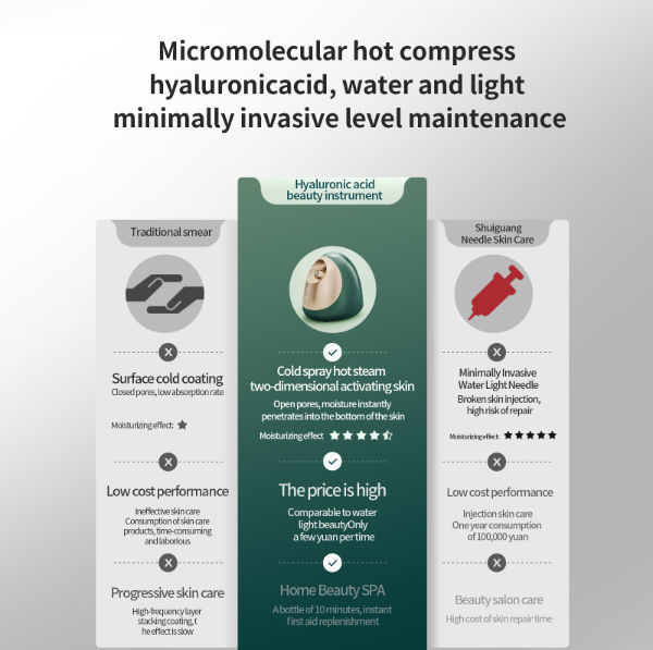 Facial Steamer Best Professional Nano Ionic Warm Mist, Home Face Sauna