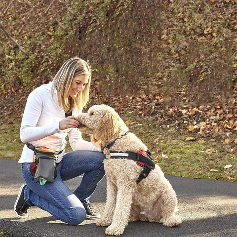 Wild Upgraded Dog Treat Bag With Neoprene Training Treat Pouch With Xl Shoulder Strap 4.69 Wholesale China Pet Bag at factory prices from R S Bijoux Ltd Globalsources