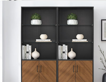 Modern Style Book Cabinet Bookcase, Black Modern Bookcase With Doors