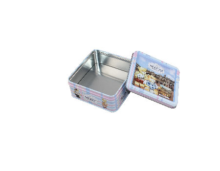 Metal Handle Biscuit and Cookie Tins for Kids Lunch Box - China Lunch Tin  and Tin Box price