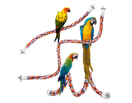 100 Plastic C-clips Hooks Chain C-links Sugar Glider Rat Parrot Bird Toy  Parts 
