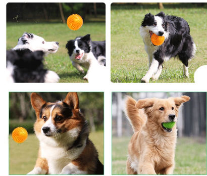 https://p.globalsources.com/IMAGES/PDT/B5264372445/pet-toy-balls.jpg