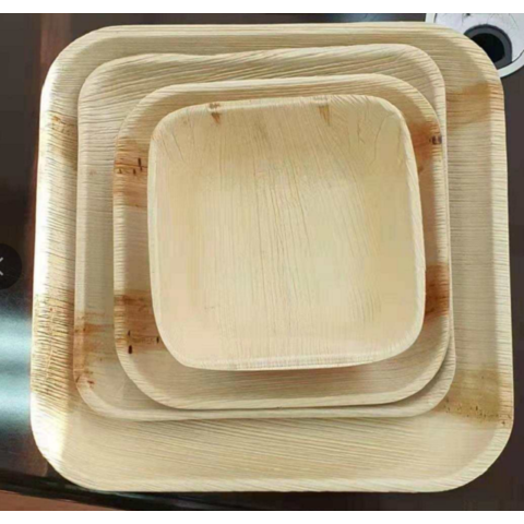 Palm Leaf Plate, High Quality Disposable Plates