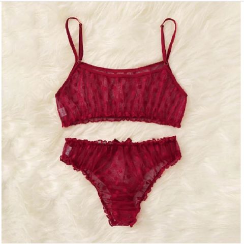 Buy Wholesale China 2022 New Hot Women's Underwear Sets Sexy Lingerie Mesh  Ruffled Transparent Underwear Two-piece Oem & Women's Underwear Sets at USD  3
