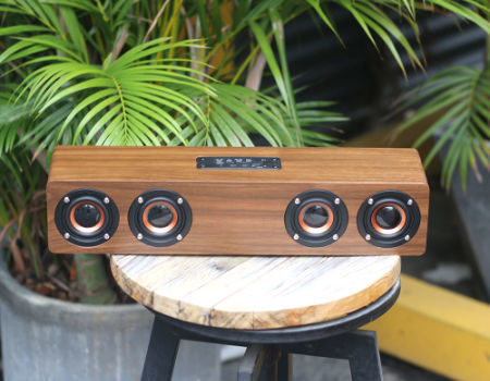 spykar speaker wooden price