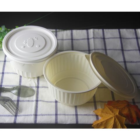 https://p.globalsources.com/IMAGES/PDT/B5271407089/Disposable-Food-Container.jpg