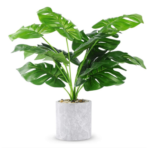 La pequeña planta artificial Faux sola rama de las plantas para el hogar  decoración de la mesa - China Planta artificial y la decoración del hogar  precio