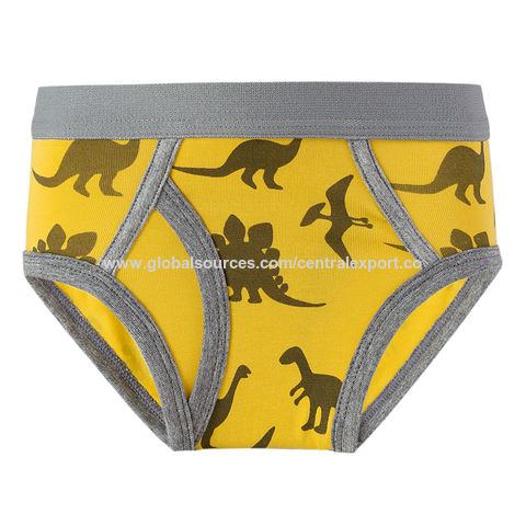 Buy Wholesale China Boy's Printing Front Binding Hole Briefs Odm Service &  Boxer Briefs Manufacturer Comfortable at USD 0.73