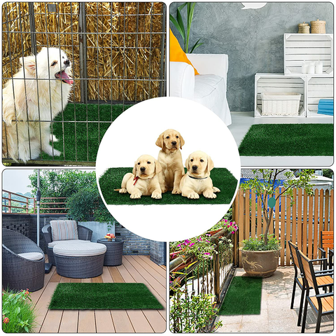 Herbe Artificielle pour Chiens Faux Herbe pour Chiots Potty Training  Réaliste Intérieur Et Extérieur Gazon Artificiel