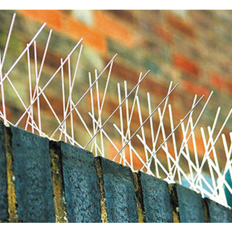 Stainless Steel Bird Spikes Live Bird Trap - China Bird Blocker Spikes and  Bird Repellent price