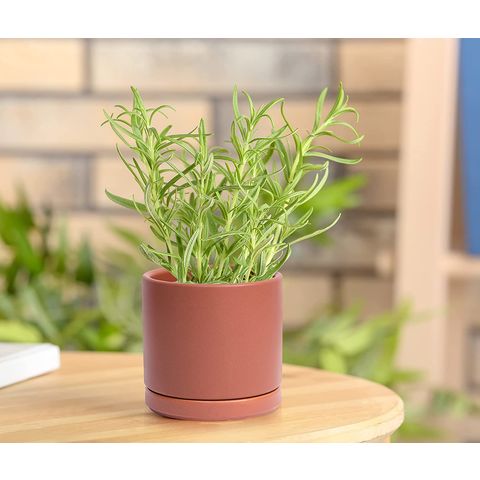 https://p.globalsources.com/IMAGES/PDT/B5281059502/ceramic-indoor-plant-pot.jpg